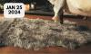 5 Things to Know When you are going to Wash Sheepskin Rug in Home