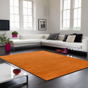 Cozy Orange Modern Rug by Asiatic