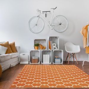 Vitaminic Trellis Orange Geometric Rug By Floorita 1